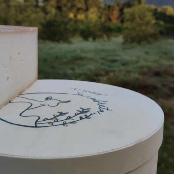 queso curado de cabra ecologico de mallorca sa cabreta